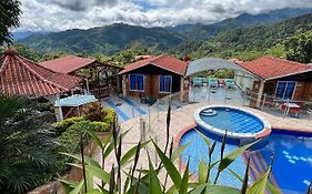 Cabañas lluvia de oro